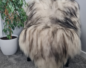 Icelandic Sheepskin Rug with Black Tips Very Large Natural Pelt Genuine Rug 120 -150 cm Very Soft Long Hair