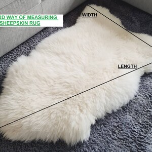May include: A white sheepskin rug with a soft, thick texture. The image includes text that reads: STANDARD WAY OF MEASURING A SHEEPSKIN RUG, with black lines indicating the width and length for measurement purposes across the surface of the rug.