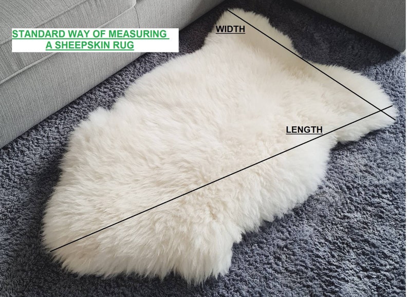 May include: A white sheepskin rug with a soft, thick texture. The image includes text that reads: STANDARD WAY OF MEASURING A SHEEPSKIN RUG, with black lines indicating the width and length for measurement purposes across the surface of the rug.