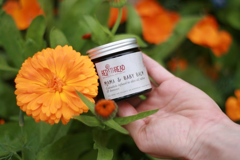 May include: A small jar of Mama & Baby Balm by Red Thread Botanicals. The jar is labeled with the product name and ingredients: Calendula infused in olive oil,  and beeswax. The jar is held in a hand against a background of orange flowers.