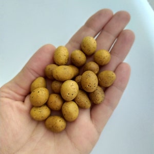1:6 scale Vegetable for a Dollhouse  Mini food for doll  Fake food for handmade jewelry  Miniature Garden Vegetable  Realistic Tiny Potato