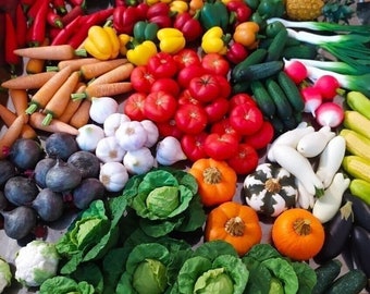 miniature food, 1:6 scale vegetables