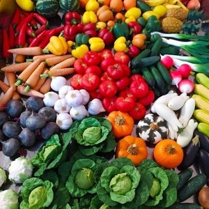 miniature food, 1:6 scale vegetables