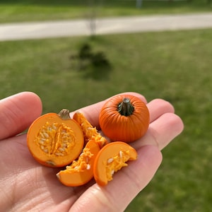 Miniatur Kürbisse, Puppenhaus Miniaturen, kleiner Kürbis, Miniatur Essen, Puppenhaus Halloween Miniatur Kürbis, Miniatur Herbst, 1:12, 1/6