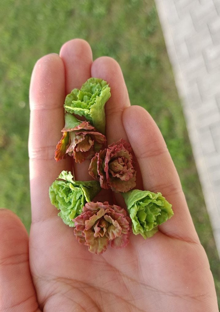 Miniature Lettuce 1/12 1/6 Scale Miniature Food Doll Food - Etsy