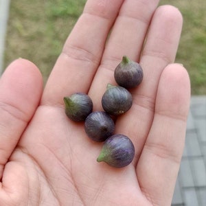 Miniature fig fruit 1/6 scale, Miniature food, Dollhouse miniature fruit, tiny fruit, realistic fruit