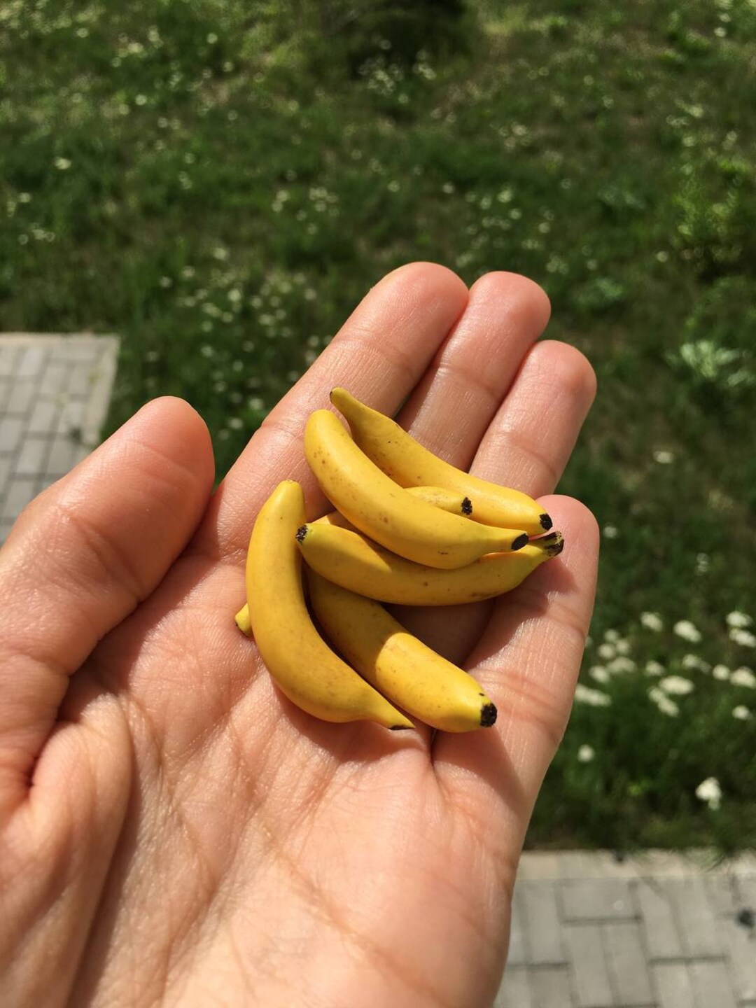 Miniature Banana 1:6 Scale, Miniature Realistic Fruit, Miniature Food ...