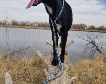 Dual Color Leash