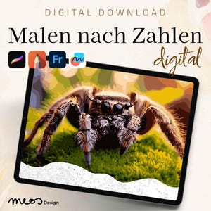 Paint by Numbers digital adults, Procreate, Sketchbook, Fresco, Coloring template Silky Spider Serenity