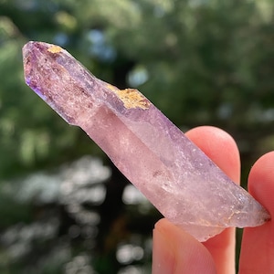 May include: A translucent amethyst crystal with a pointed tip. The crystal has a gradient of colors, transitioning from a deep purple at the tip to a pale lavender hue. Gold-colored mineral deposits are visible near the tip.