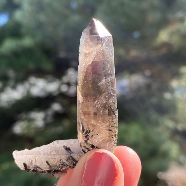 Malawi Smoky Quartz + Aegirine Inclusions, RARE Malawi Smoky Quartz with Beautiful Windows, Grounding + Protection Crystal