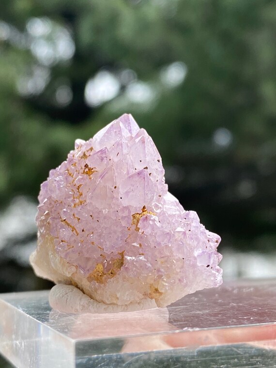 Cactus Amethyst Spirit Purple Spirit Quartz Amethyst Spirit Quartz Cluster  Gr Deep Purple Amethyst Cactus