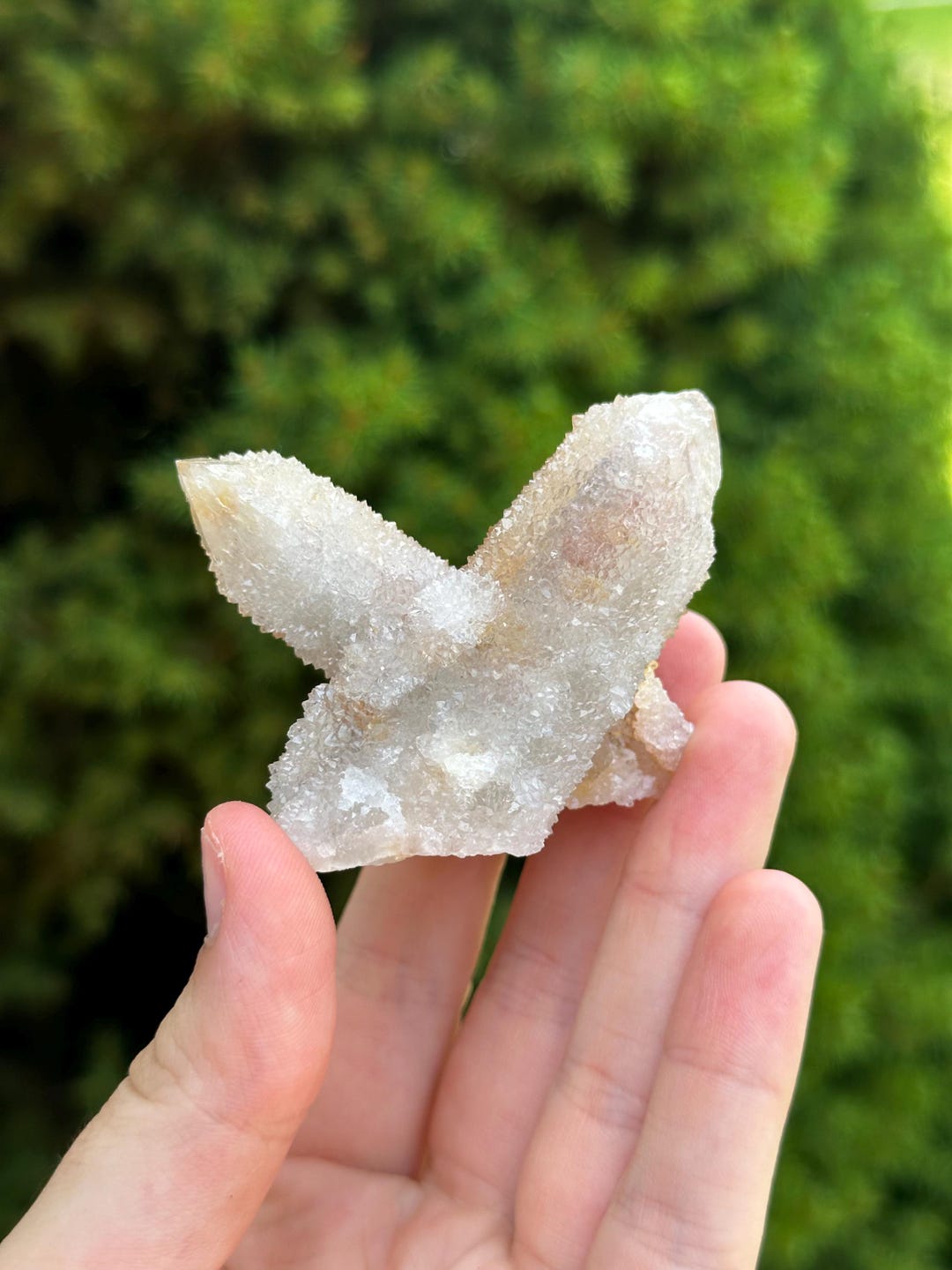 自立型スピリットクォーツクラスター、南アフリカ産カクタスクォーツ