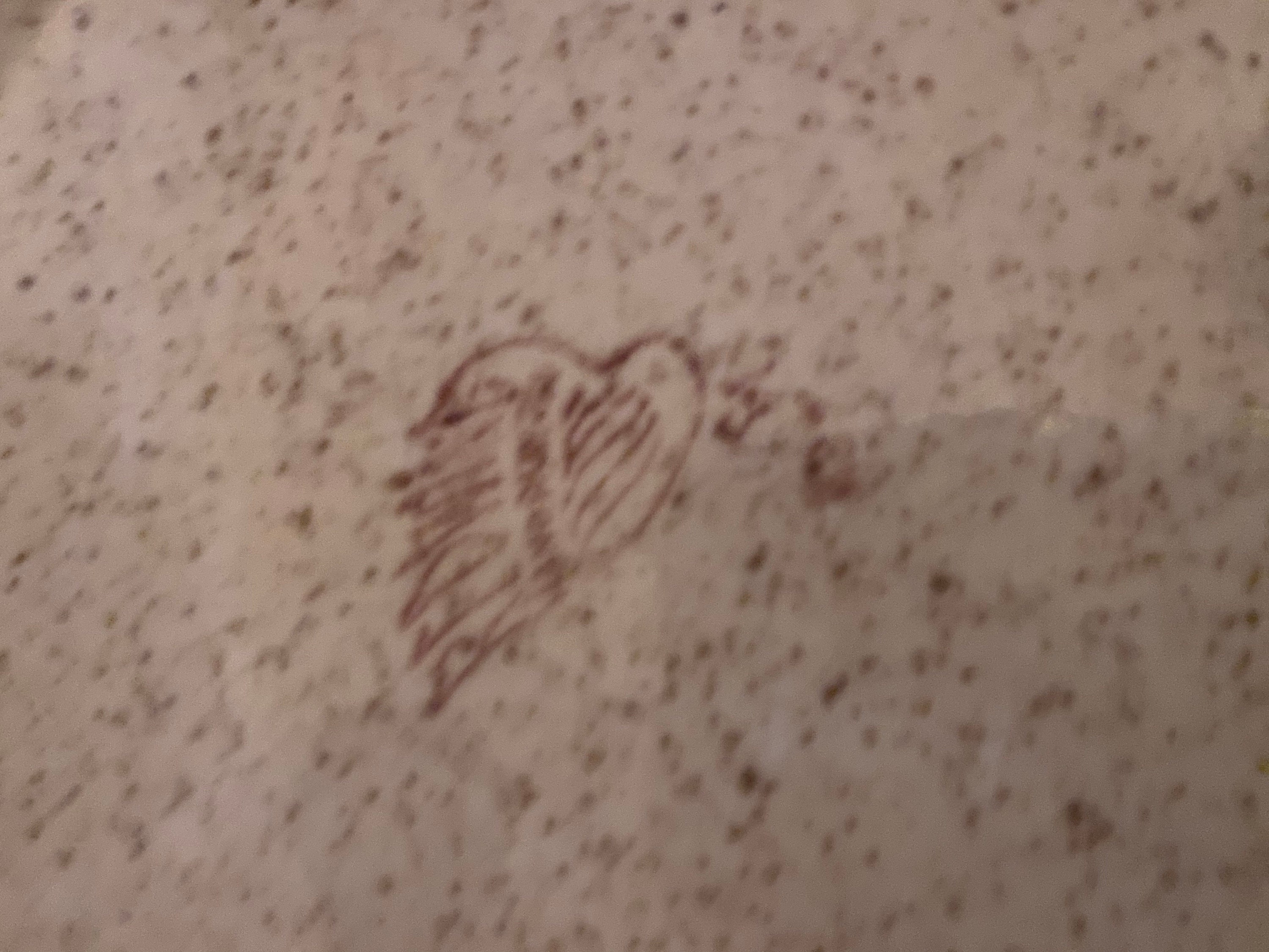 Redwing Pottery Bob White Vintage Hand Painted 11" Dinner Plates Etsy