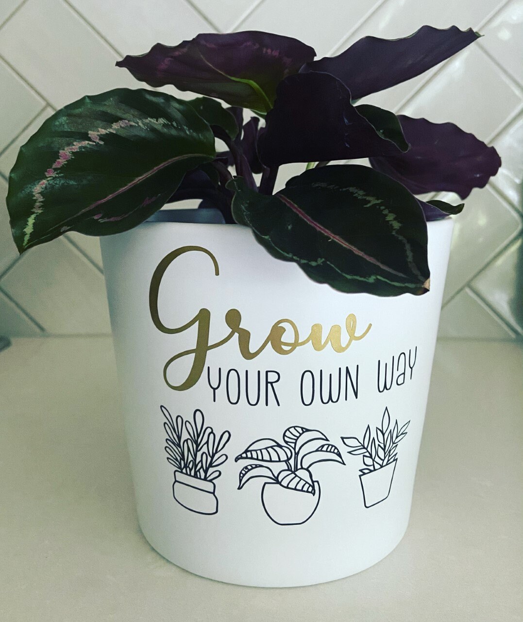 Pot plant decals / plant labels / pot images / pot labels / Etsy