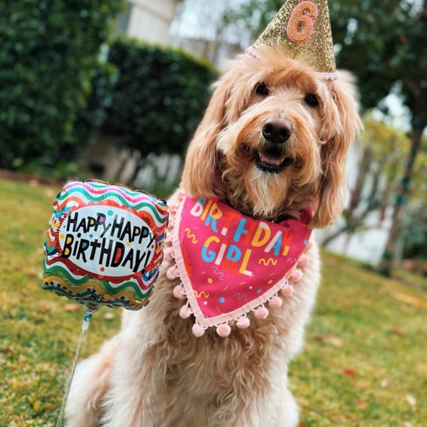 Birthday girl dog bandana, Birthday Pet Bandana for Medium Large Dogs, Tie-On Dog Bandana, Add sequin Bow option