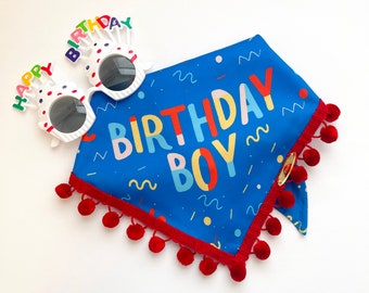 Birthday Boy Dog Bandana, Birthday Pet Bandana for Small/Medium Dogs, Tie-On Dog Bandana, Boy Dog