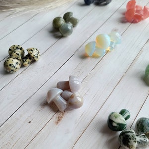 Mini crystal mushroom, hand carved stone mushroom, mini assorted crystals, enchanted forest magical crystal for plants garden decoration