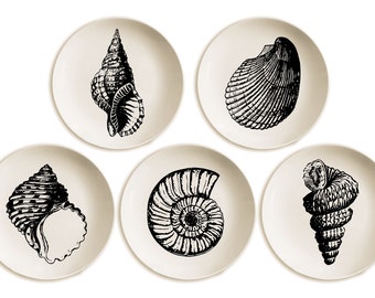 Decorative wall plates, Minimalist decor,  Hand painting, Home decor,  Wall decor, Sea Shell wall plates. Wall art, Gift  for her