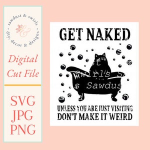 Get Naked Unless You Are Just Visiting Don&#39;t Make It Weird, Fat Cat SVG, PNG, JPG