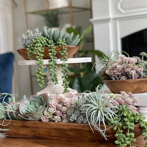 Beautiful Artificial Succulent Garden in a hand carved wood dough bowl! Three sizes to choose from! GORGEOUS!