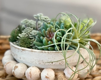 Beautiful  faux succulent garden in a 6 inch circle beaded clay bowl- STUNNING