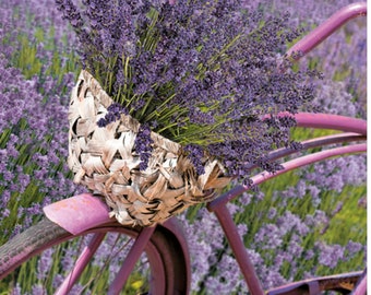 Servilletas de decoupage florales, servilletas de papel para decoupage, servilletas de papel primavera, servilletas de decoupage flores hierbas, paquete de 20 servilletas de almuerzo