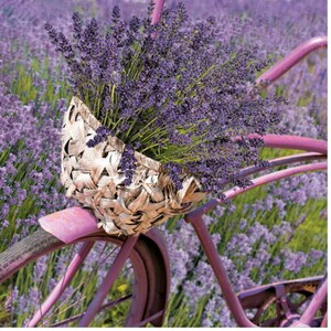 Decoupage Napkins, Lavender Paper Napkins, Decoupage Paper, Decoupage Napkins Floral, Decoupage, Luncheon Napkins Free Shipping, Pack of 20
