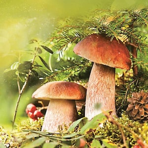 Fall Mushroom Paper Napkins For Decoupage, Scrapbooking, Junk Journal, Autumn Napkin Forest, Pack of 20