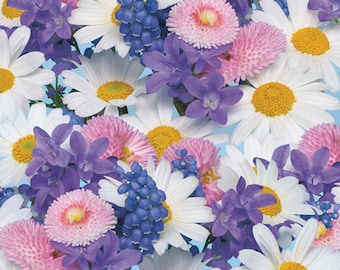 Servilletas de decoupage florales, servilletas de papel para decoupage, servilletas de papel primavera, servilletas de decoupage flores, paquete de 20 servilletas de almuerzo