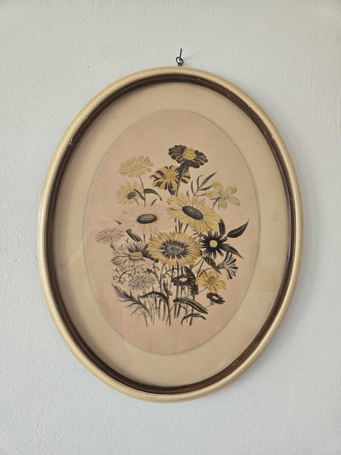 Vintage Oval Framed Botanical Print - Yellow and Black Daisy Wall Art ...