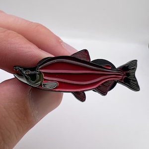 Sockeye Salmon  - Fish Pin with Gift Box