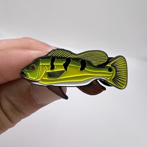 Peacock Bass Enamel Pin – Fishing Lapel Pin with Gift Box, Peacock Bass Badge, Fly Fishing Gift for Anglers & Outdoorsmen