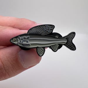 Arctic Grayling - Fish Pin with Gift Box
