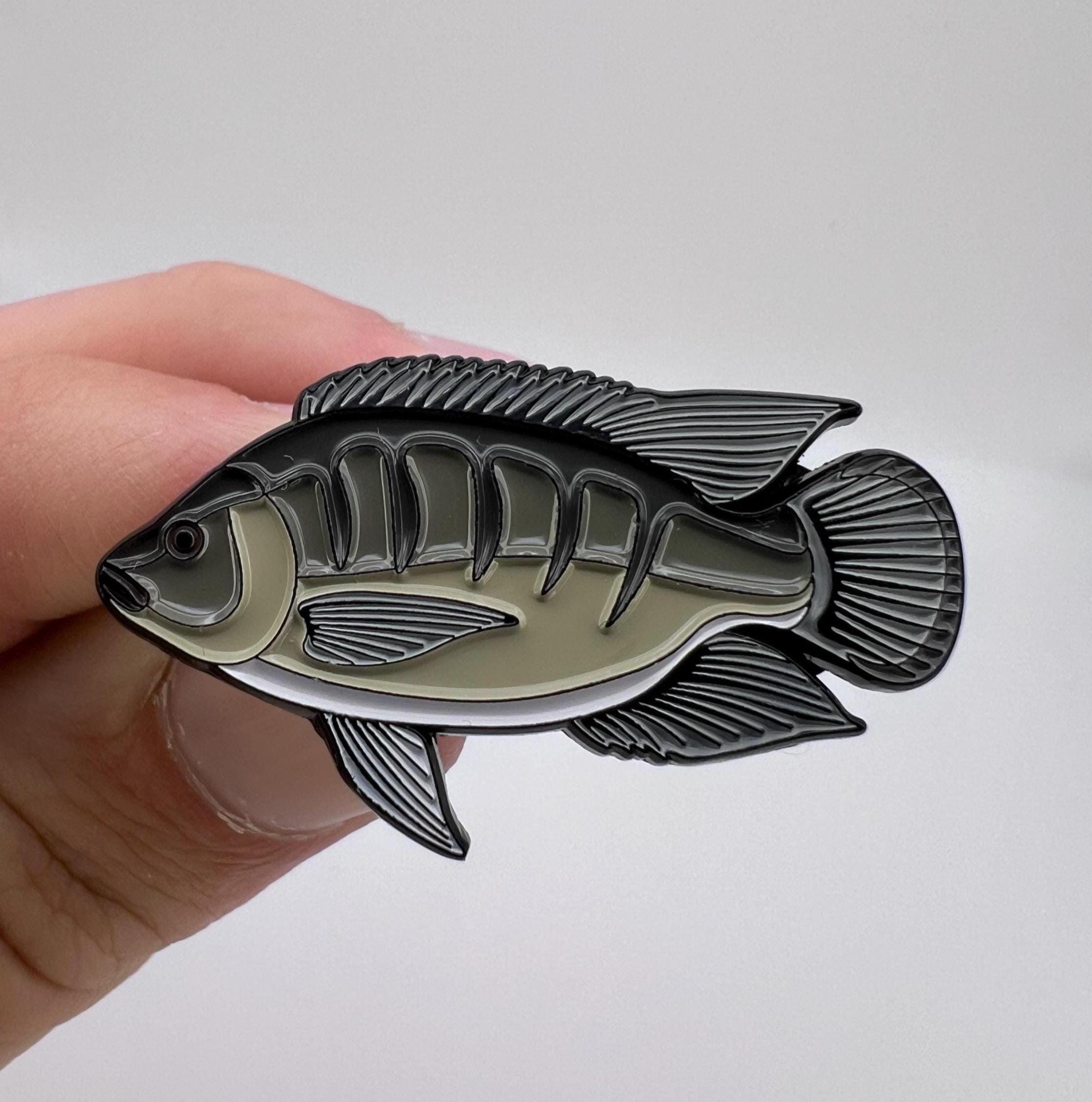 Tilapia - Fish Pin with Gift Box