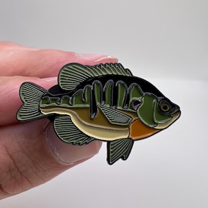 Bluegill - Pin de pez con caja de regalo