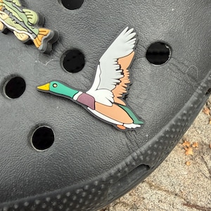 Op de afbeelding: Zwarte klomp met een decoratieve eendenbedel en een visbedel. De eendenbedel heeft een groene kop, witte en grijze vleugels en een bruin en oranje lichaam. De visbedel is groen, geel en oranje.