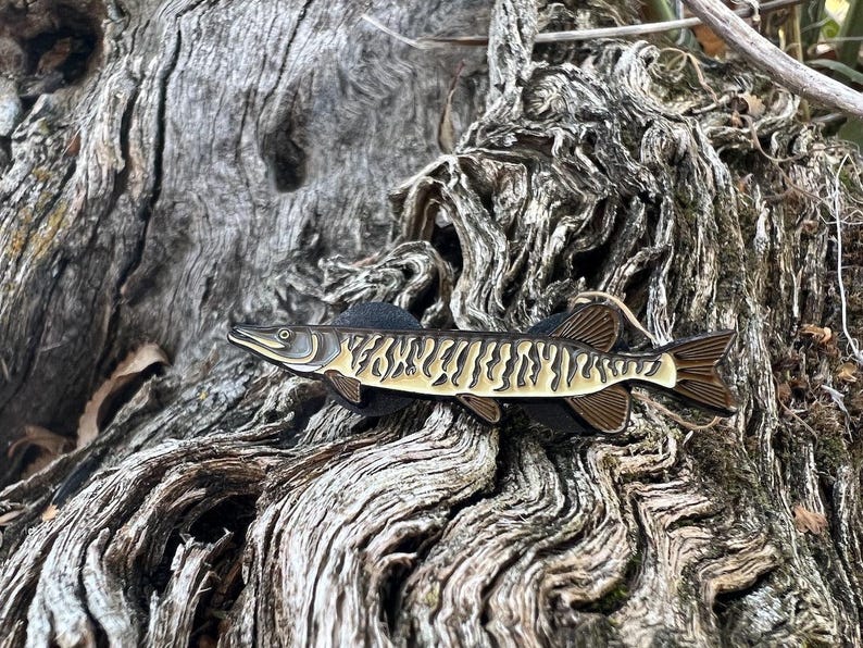 Tiger Muskie Enamel Pin – Fishing Lapel Pin with Gift Box, Tiger Muskie Badge, Fly Fishing Gift for Anglers & Outdoorsmen image 4