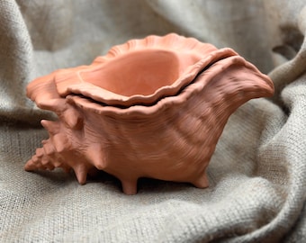Terracotta Sea Shell Pot