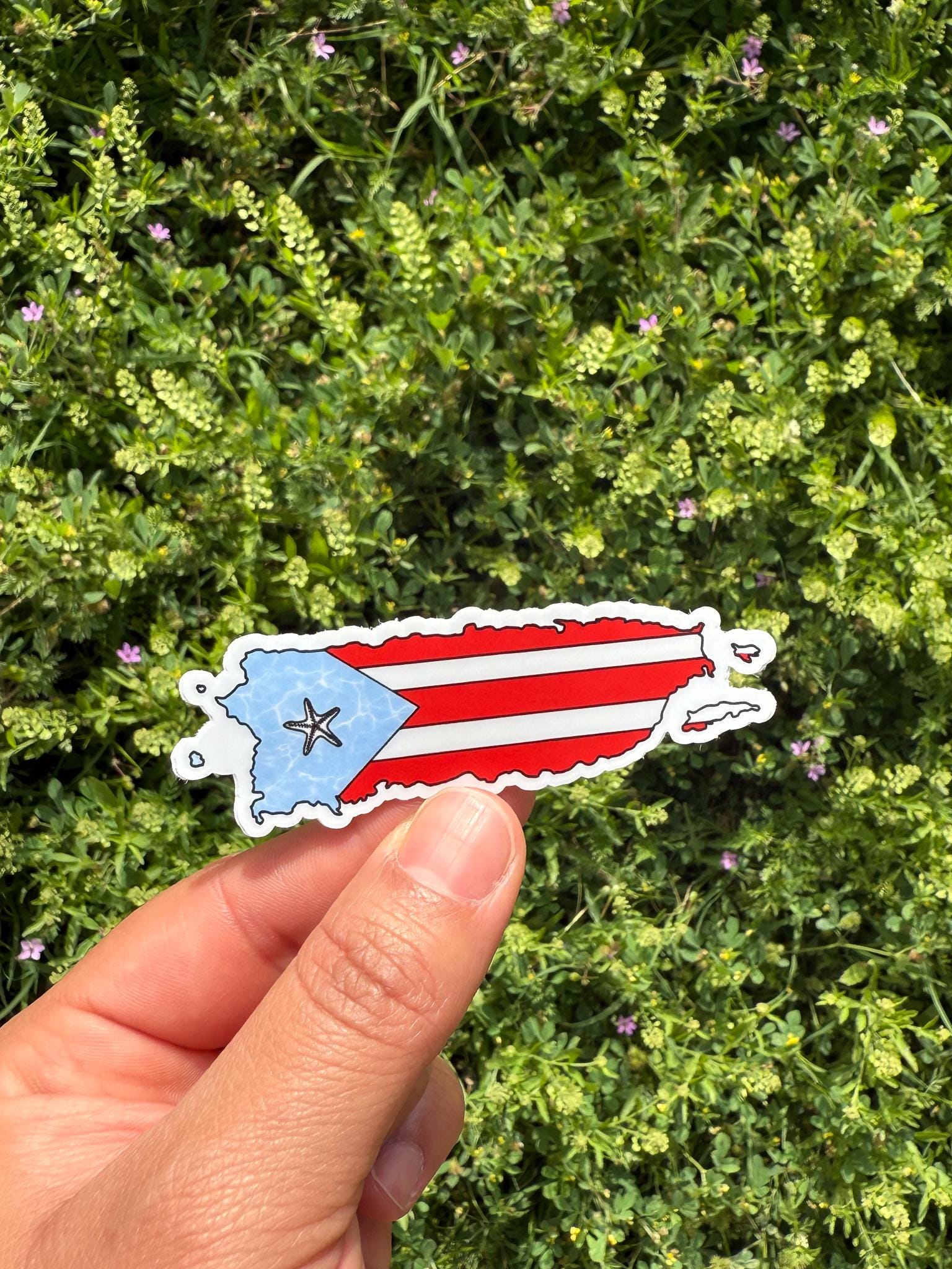 Collana Ciondolo Tavola Da Surf Con Morso Di Squalo - Bandiera Porto Rico Souvenir