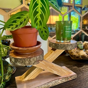 May include: A Maranta plant in a terracotta pot sits on a wooden plant stand. The stand has a natural wood finish with a cross-beam design. A green candle in a glass jar is on a separate wooden platform.