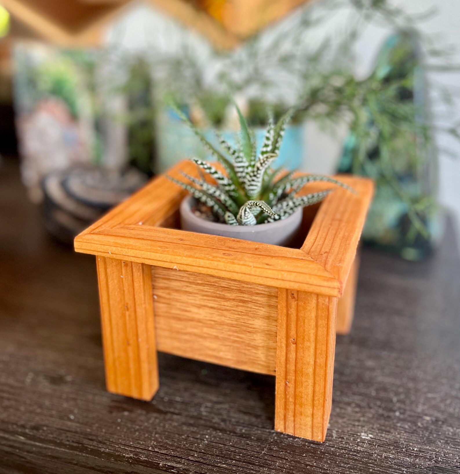 Mini Cedar Plant Stand: Rustic Reclaimed Wood Riser for 3-4" Pots - Etsy