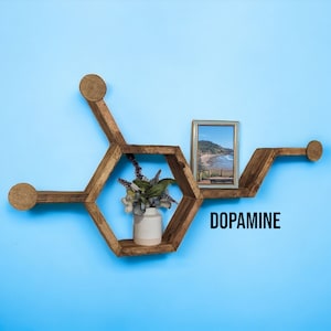 May include: A wooden shelf shaped like a dopamine molecule with a small plant in a white pot and a framed photo on one of the shelves. The shelf is labeled "DOPAMINE".