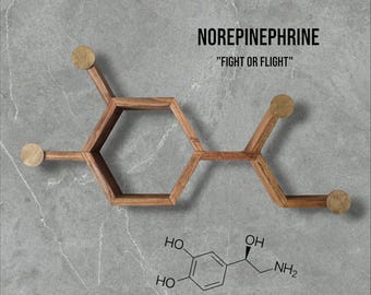 Norepinephrine / Fight or Flight / Molecule Shelf / Wall Art