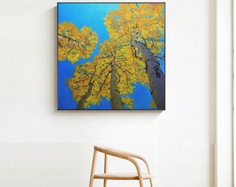 Abstract Birch Canvas Wall Art, Large Original Trees Oil Painting on Canvas, Modern Autumn Landscape Wall Art for Living Room, Bedroom Décor