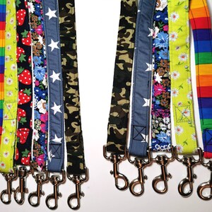 May include: A selection of patterned dog leads, featuring designs such as rainbow stripes, strawberries, floral, stars, and camouflage. Each lead has a silver metal clasp.