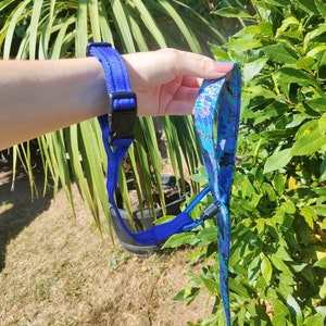 Dog safety strap