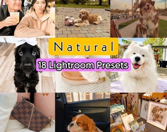 18 préréglages Lightroom pour mobile, filtres d'influence, inspirés du printemps, filtres clairs