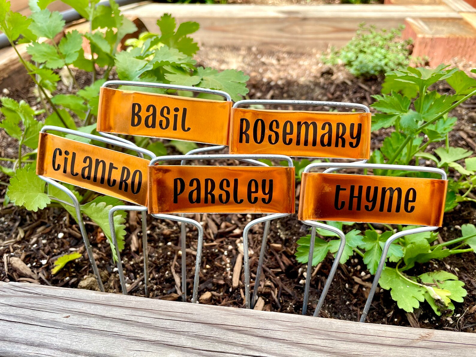 Copper Plant Label for Garden Personalized / Custom / Garden Etsy