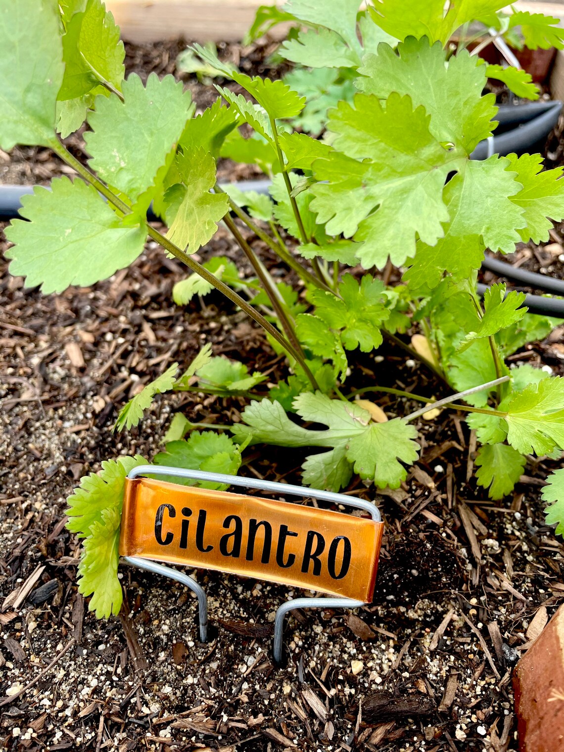 Copper Plant Label for Garden Personalized / Custom / Garden Etsy